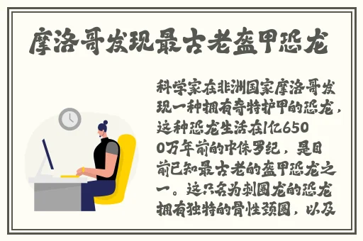 福建大菠萝福利导利