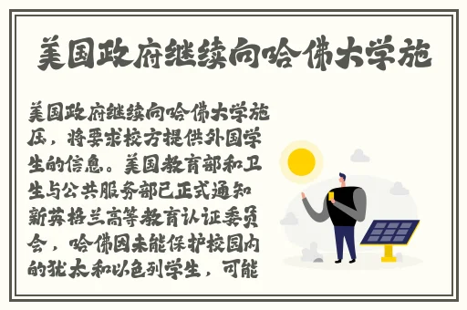 精品日韩在线观看